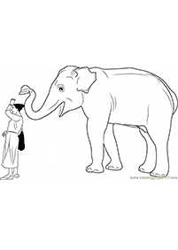 हाथी रंग पृष्ठ - पृष्ठ 80