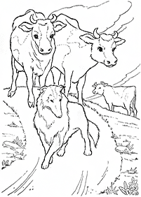 गाय रंग पृष्ठ - पृष्ठ 21