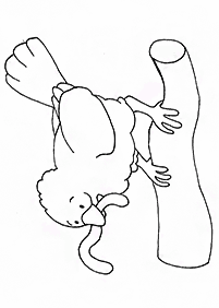 पक्षी रंग पृष्ठ - पृष्ठ 42