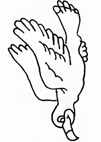 पक्षी रंग पृष्ठ - पृष्ठ 54