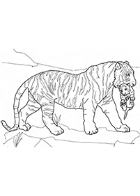 トラの塗り絵 - 21