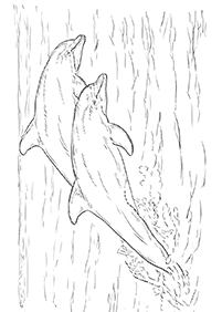 イルカの塗り絵 - 65