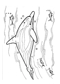 イルカの塗り絵 - 84