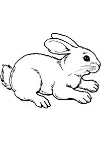 ウサギの塗り絵 - 1ページ目