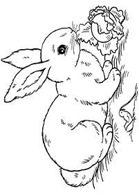 ウサギの塗り絵 - 3ページ目