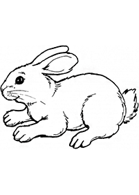 ウサギの塗り絵 - 36