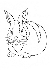 ウサギの塗り絵 - 48
