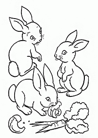 ウサギの塗り絵 - 72