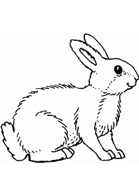 ウサギの塗り絵 - 79