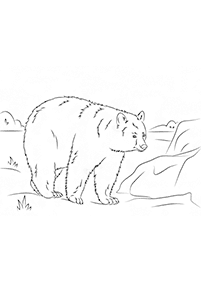 クマの塗り絵 - 1ページ目