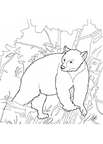 クマの塗り絵 - 29