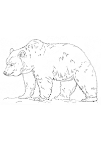 クマの塗り絵 - 5ページ目