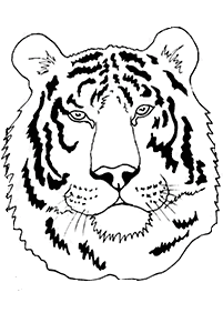 トラの塗り絵 - 7