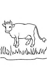 牛の塗り絵 - 16