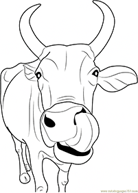牛の塗り絵 - 23