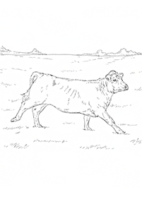 牛の塗り絵 - 41