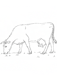 牛の塗り絵 - 45