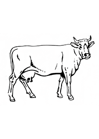 牛の塗り絵 - 53