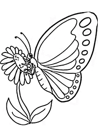 蝶の塗り絵 - 41