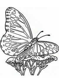 蝶の塗り絵 - 43