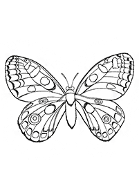 蝶の塗り絵 - 79
