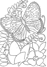 蝶の塗り絵 - 83