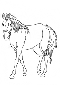 馬の塗り絵 - 3ページ目