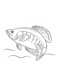 魚の塗り絵 - 45