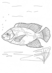 魚の塗り絵 - 83