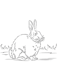 ウサギの塗り絵 - 29