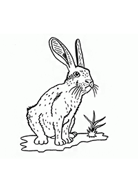 ウサギの塗り絵 - 45