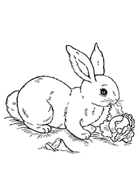 ウサギの塗り絵 - 64