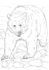 クマの塗り絵 - 81