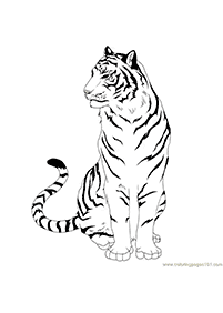 トラの塗り絵 - 79