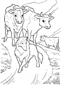 牛の塗り絵 - 21