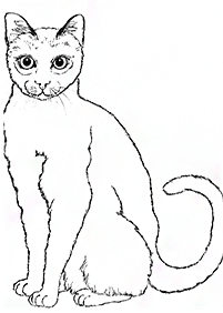 猫の塗り絵 - 84