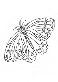蝶の塗り絵 - 78