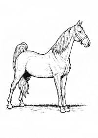 馬の塗り絵 - 84