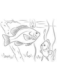 魚の塗り絵 - 1ページ目