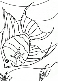 魚の塗り絵 - 42