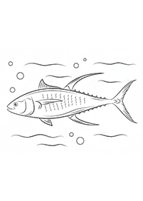 魚の塗り絵 - 55