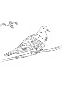 鳥の塗り絵 - 33
