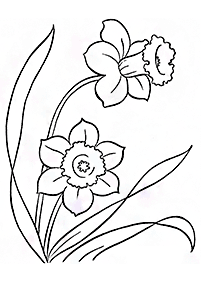 花の塗り絵 - 147