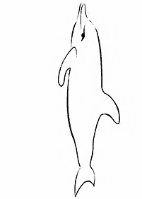 돌고래컬러링도안–컬러링(색칠)페이지60