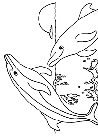 돌고래컬러링도안–컬러링(색칠)페이지71