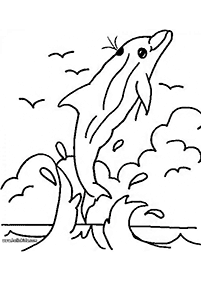 돌고래컬러링도안–컬러링(색칠)페이지80