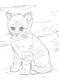 고양이컬러링도안–컬러링(색칠)페이지1