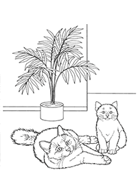 고양이컬러링도안–컬러링(색칠)페이지21