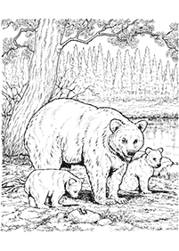 곰컬러링도안–컬러링(색칠)페이지45
