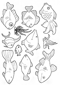 물고기컬러링도안–컬러링(색칠)페이지104